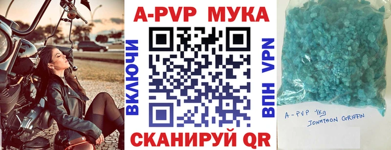 где можно купить наркотик  Городец  Alpha-PVP СК КРИС 