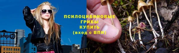 прущая мука Вязьма