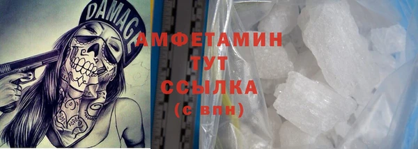 гидра Вязники