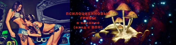 хмурый Вяземский