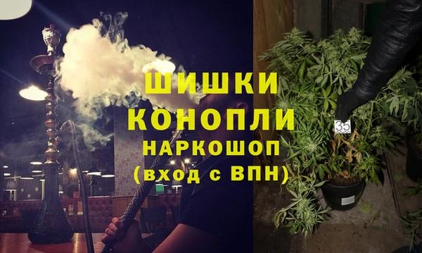 гидра Вязники
