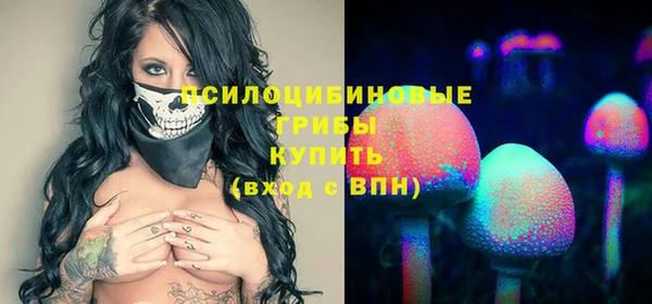 хмурый Вяземский