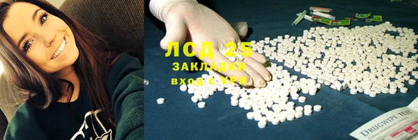 хмурый Вяземский
