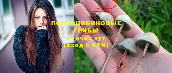 MDMA Гвардейск